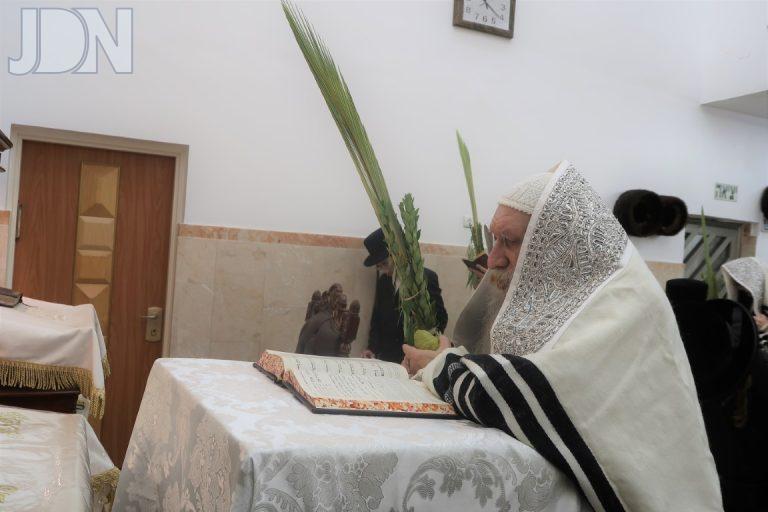 טשארנאביל הושענא רבא פד (6)