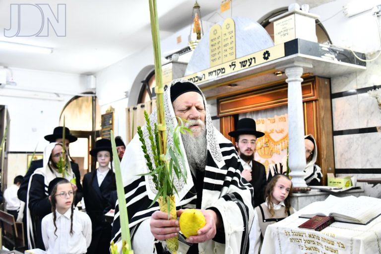 מודזיץ נענועים (5)