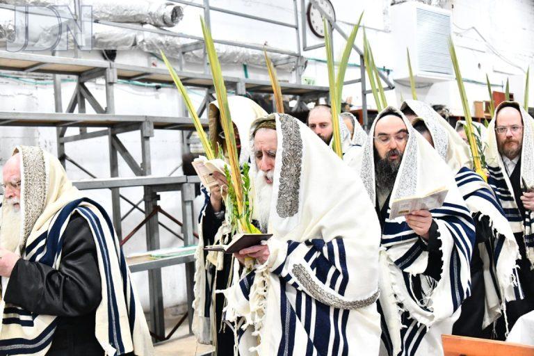 מכנובקא בעלזא הושענא רבא (5)