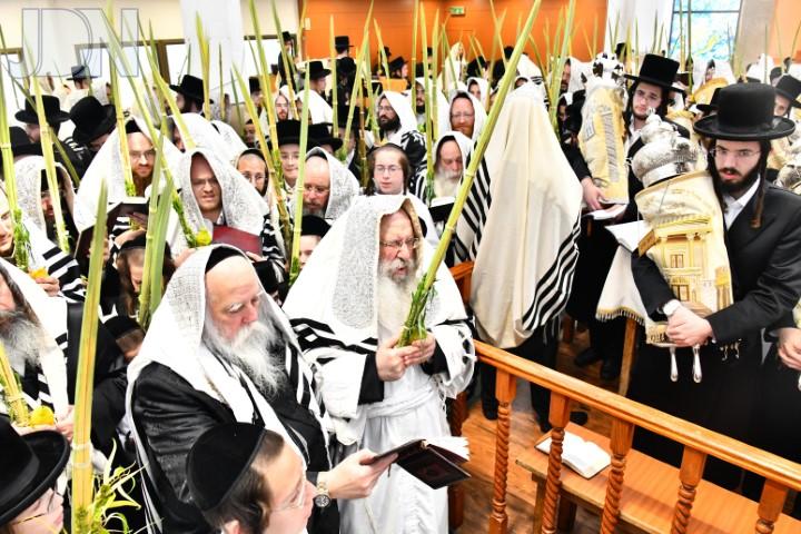 נדבורנה הושענא רבא (41)