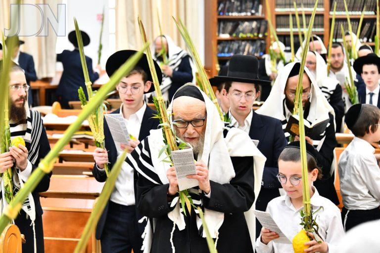 סלבודקא נענועים (31)