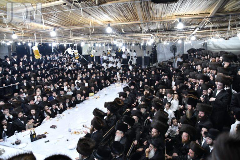 פיטסבורג הילולא סוכות פד (6)