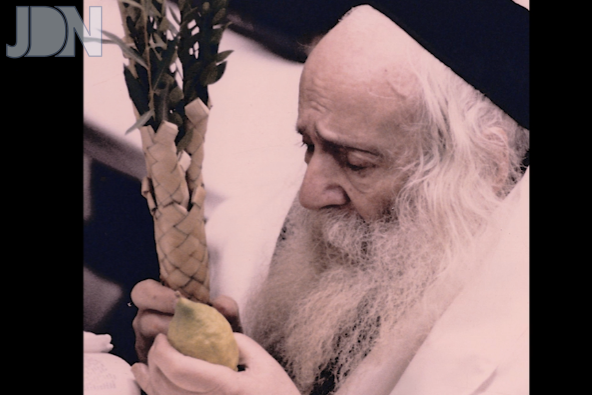 צילום מסך 2023-10-04 122436