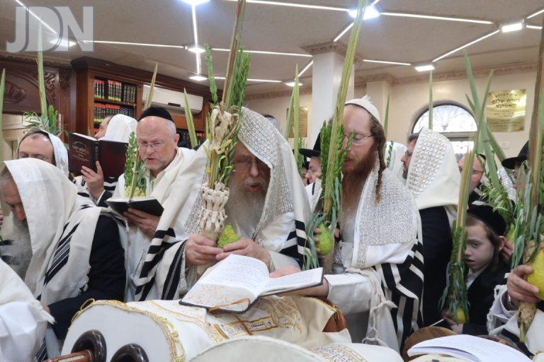 קאמארנא הושענא רבה פג (3)