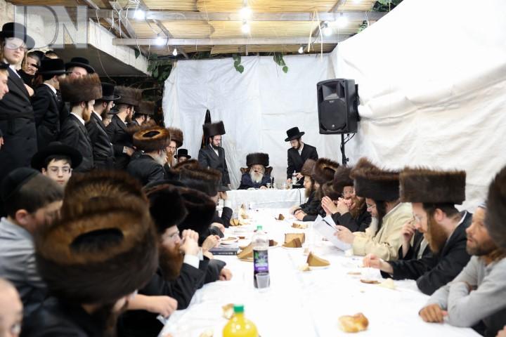 קאמארנא שמחת בית השואבה (12)