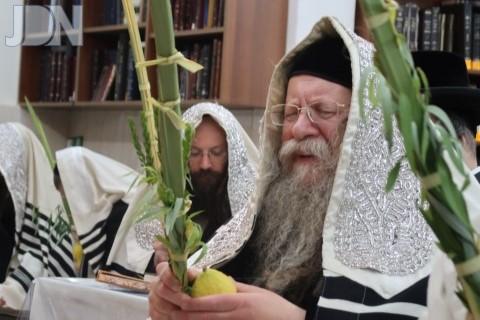 קוזמיר נענועים פד (10)
