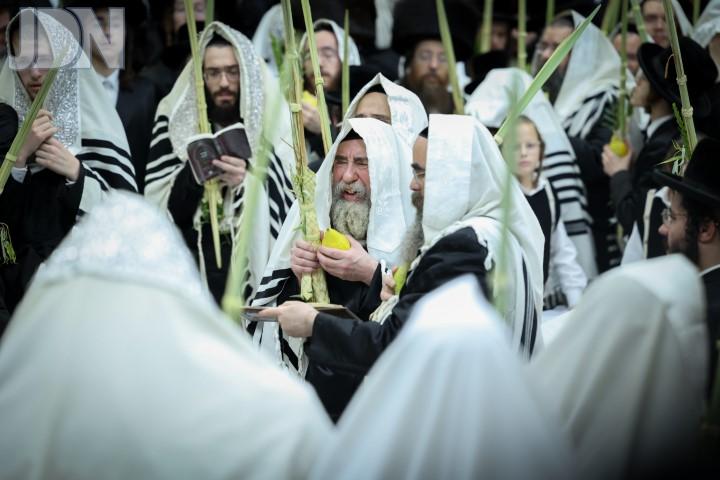 ראחמיסטריווקא חול המועד סוכות (16)