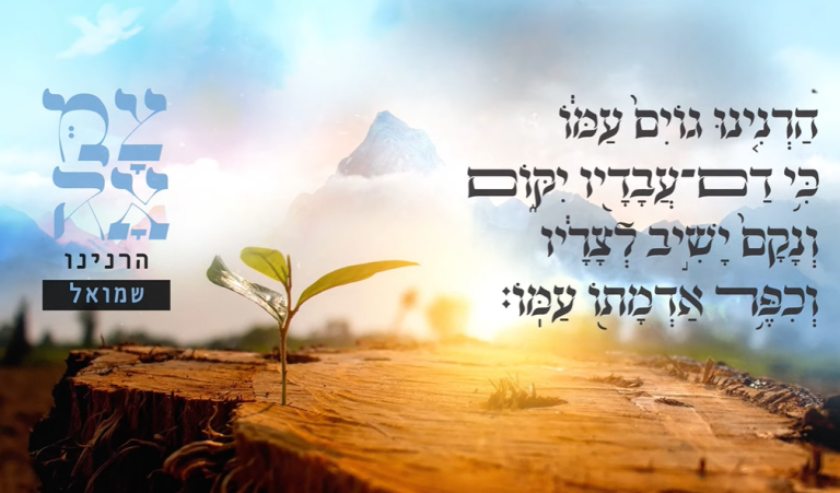 ‏‏לכידה