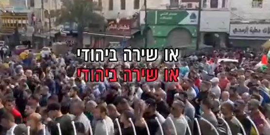 ‏‏לכידה