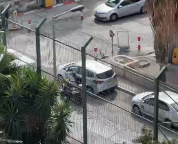 ‏‏לכידה