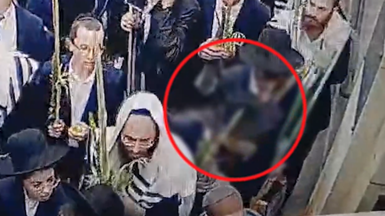 ‏‏לכידה