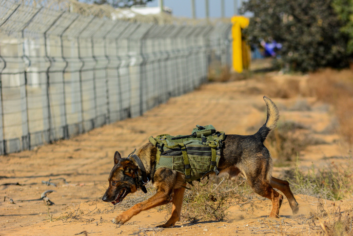 ISRAEL ARMY
