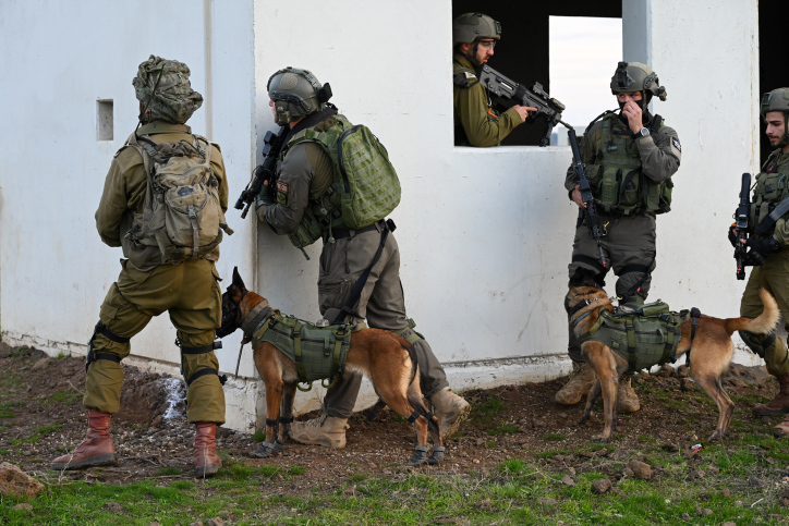 ISRAELI ARMY