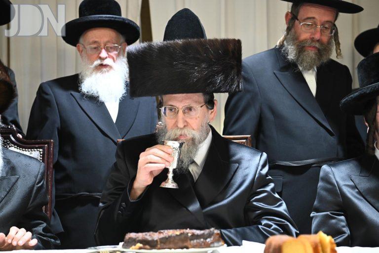 באיאן ויז'ניץ ארנסטר אירוסין (13)