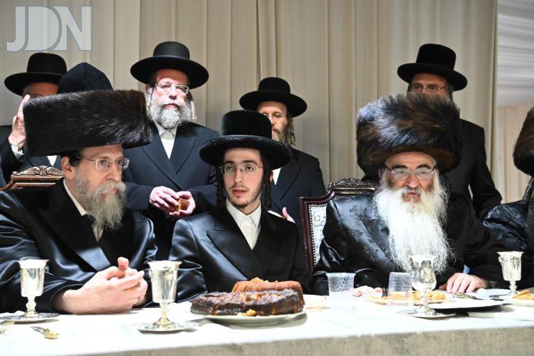 באיאן ויז'ניץ ארנסטר אירוסין (8)