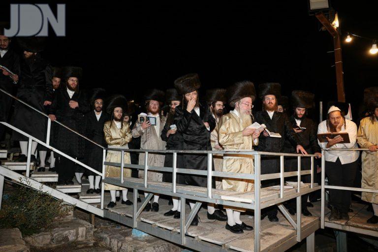 ציון בת עין הילולא (7)