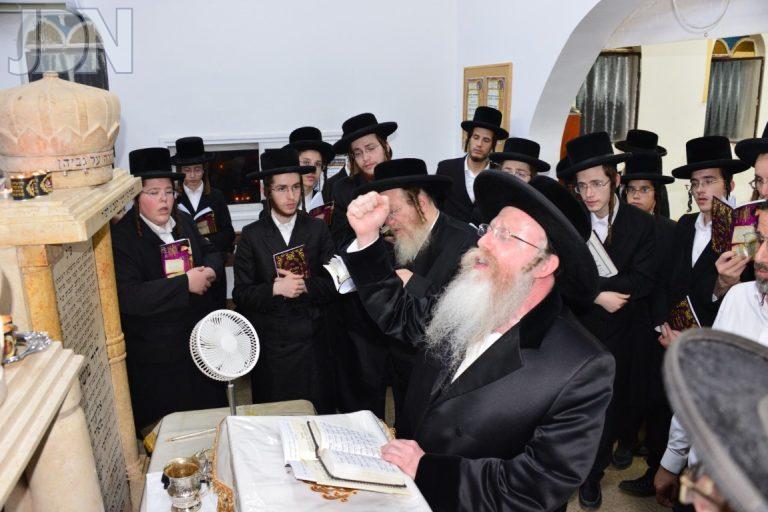 קרעטשניף קרית גת עליה לציון (15)