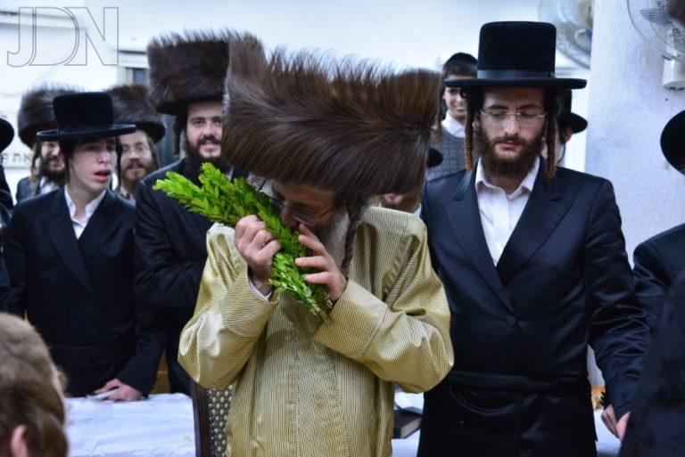 רבי אלימלך בידרמן שב''ק חיי שרה אשדוד (16)