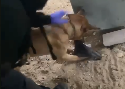 ‏‏לכידה