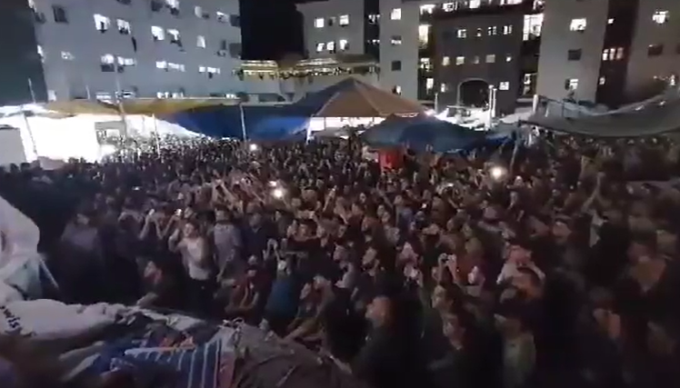 ‏‏לכידה