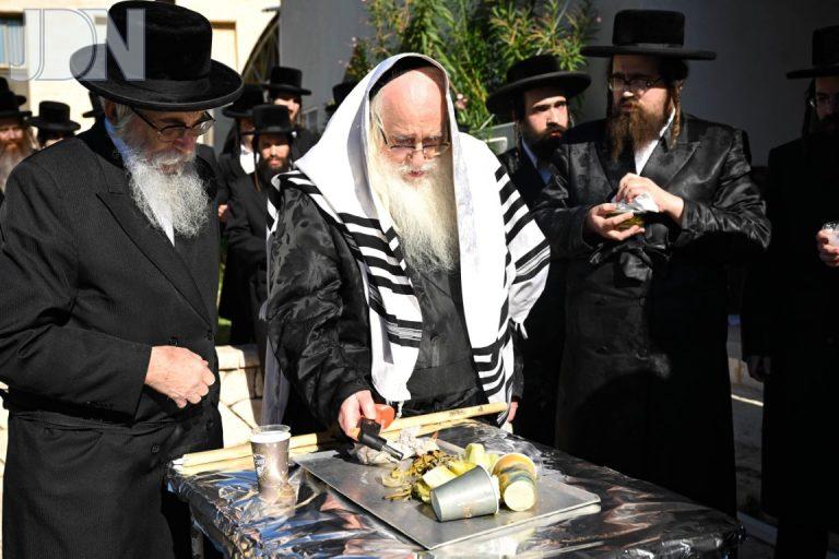 צאנז זאת חנוכה פד (3)