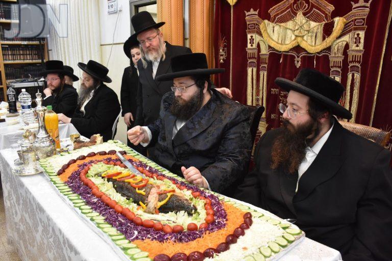 צאנז ז'מיגראד הילולא (7)