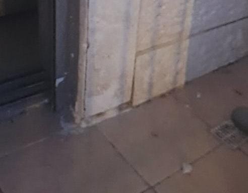 photo1704178636