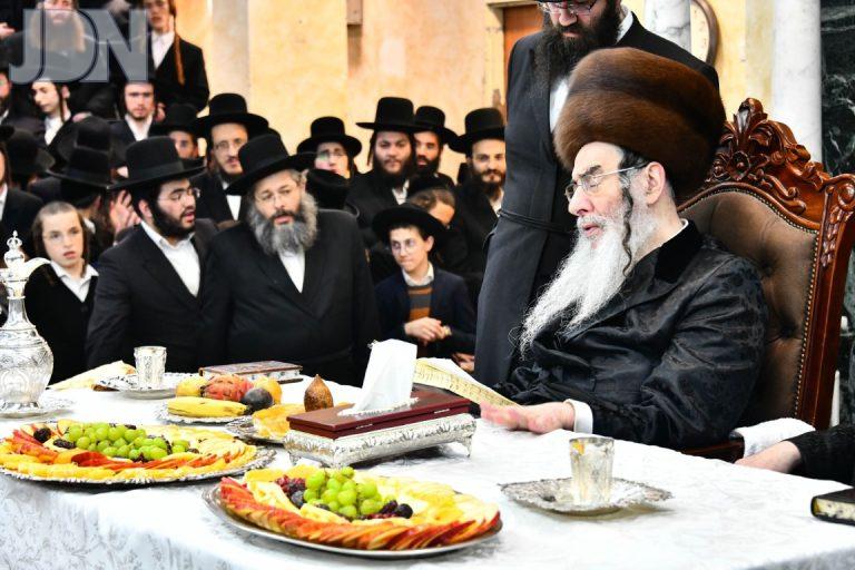 אלכסנדר טו בשבט פד (26)