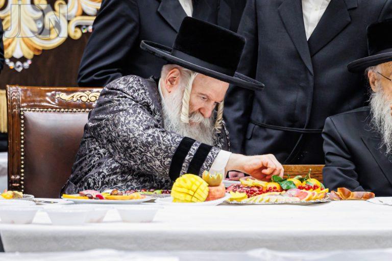 באבוב טו בשבט פד (14)