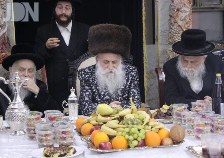 בוטושאן טו בשבט פד (8)