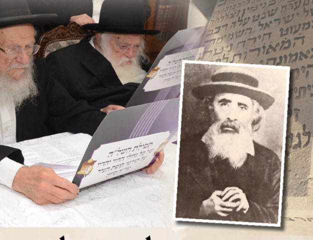 המהריל_דיסקין (Small)