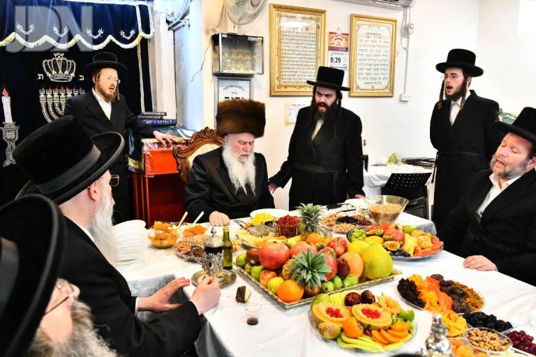 וואסלוי ט''ו בשבט (3)