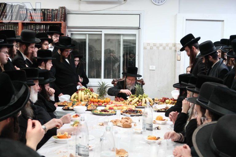 ווערדאן ט''ו בשבט (9)