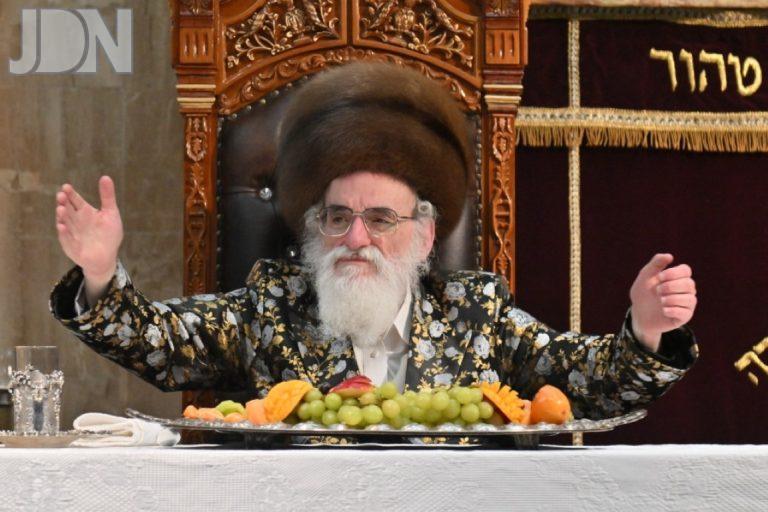 ויז'ניץ באנטוורפן טו בשבט פד (27)