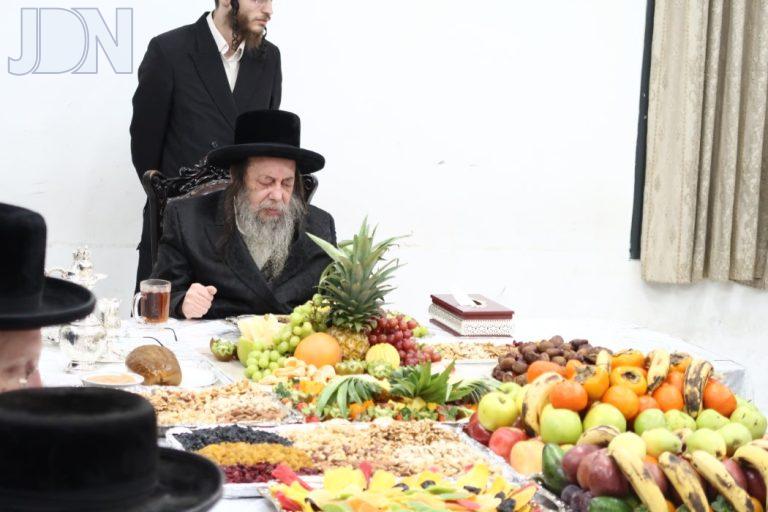 זוועהיל ט''ו בשבט (5)