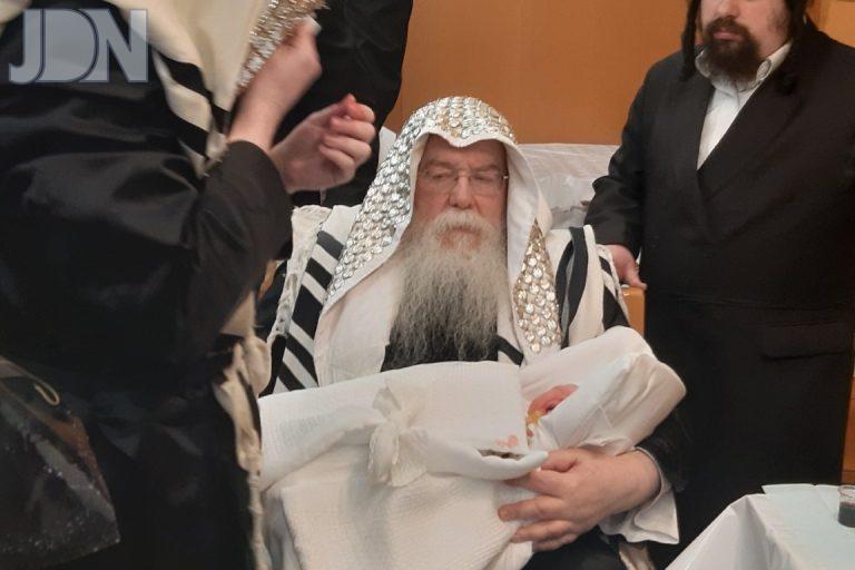 ז'מיגראד אנטוורפן ברית (2)
