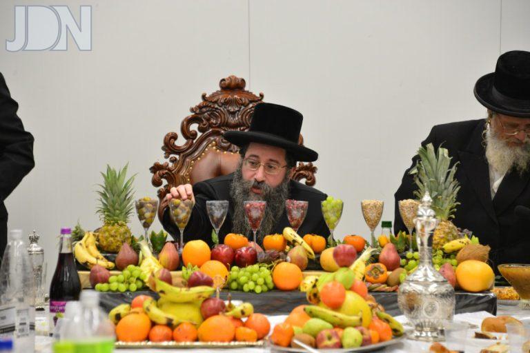 טאלנא ט''ו בשבט (3)