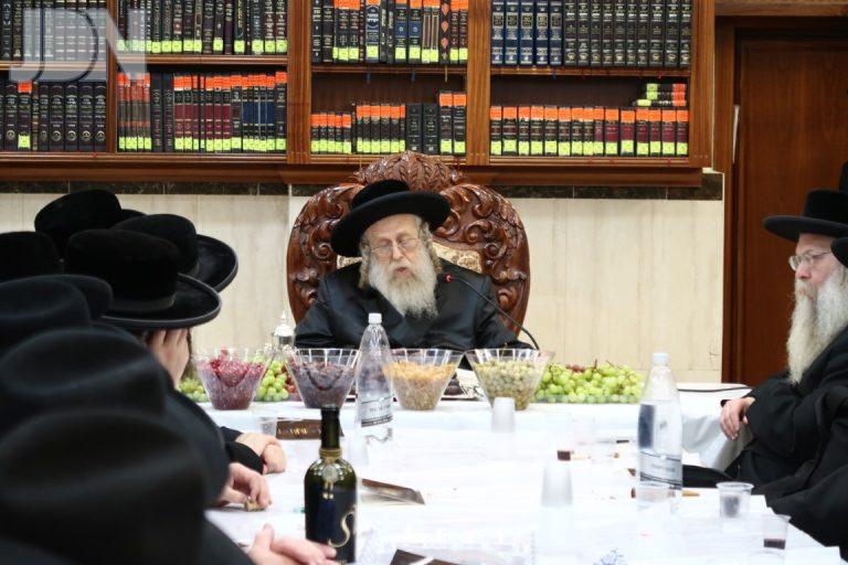 טו בשבט קאמארנא פד (14)
