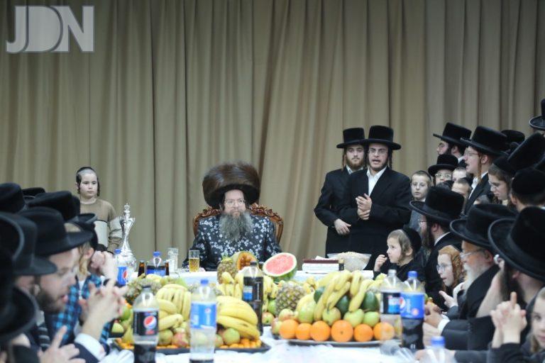 טעמשוואר אלעד ט''ו בשבט (6)