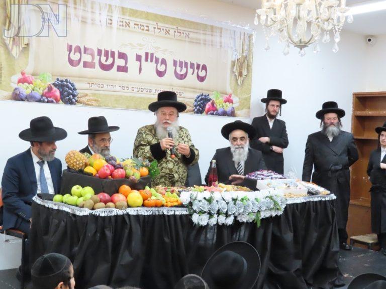 טעמשוואר מיישקולץ טיש אלעד טו בשבט (3)