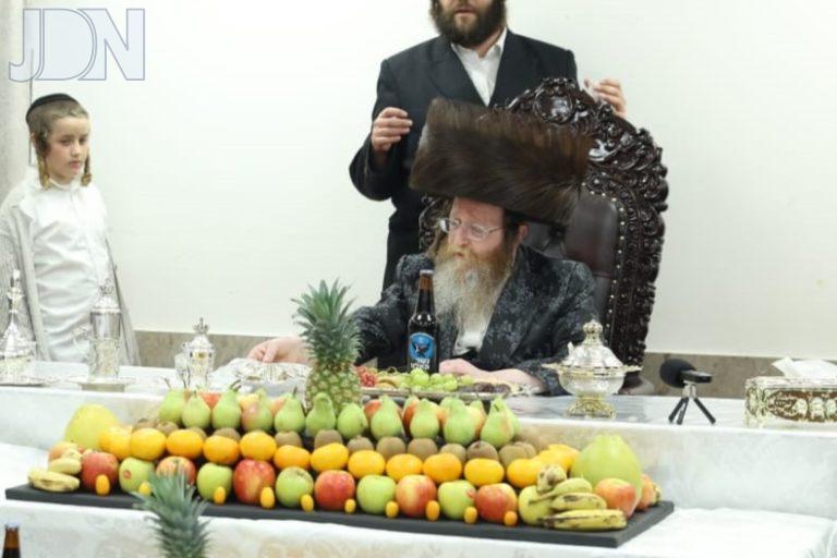 טרעבישאן טו בשבט פד (100)