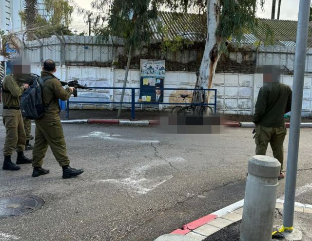 __לכידה-160_640x494