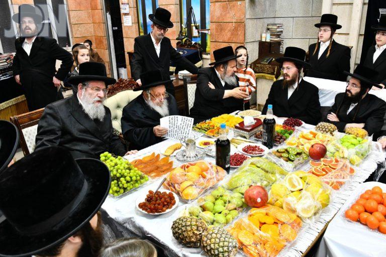 נאראל טו בשבט פד (4)