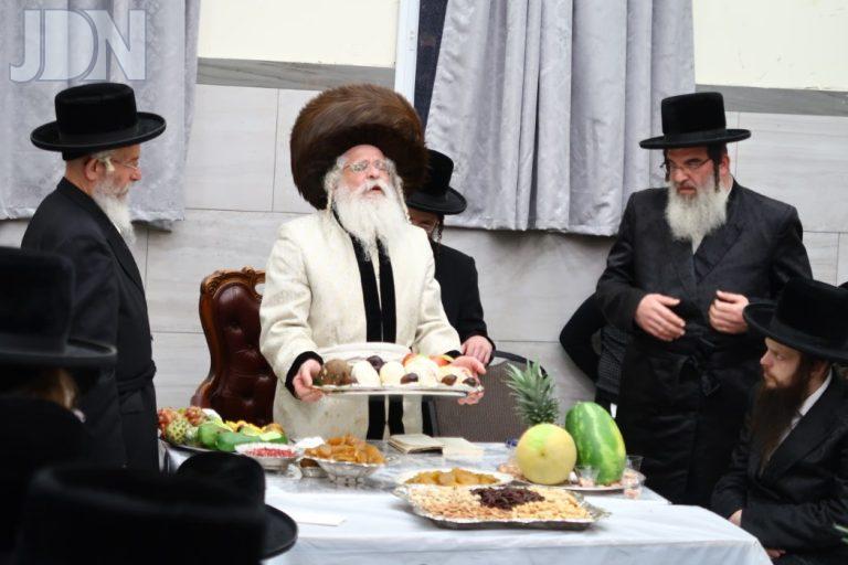 נדבורנה ירושלים ט''ו בשבט (7)