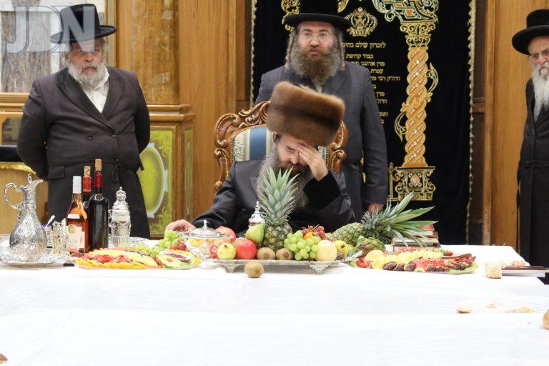 סאדיגורה ירושלים טו בשבט פד (3)