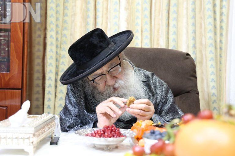 פוריסוב ט''ו בשבט (3)