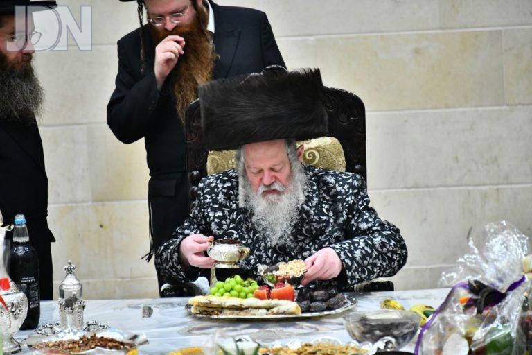 פרמישלאן ט''ו בשבט (17)