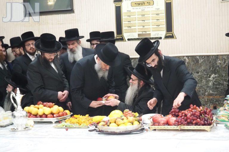 צאנז זוויעהל טו בשבט פד (12)