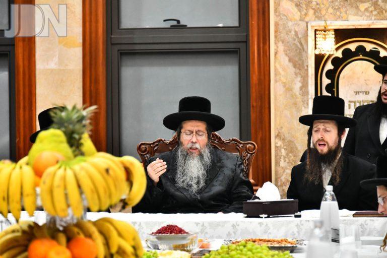 שבט הלוי ט''ו בשבט (5)