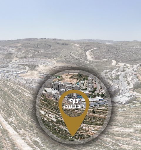 תמונה נוף הגבעה (Small)